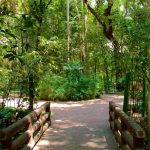 Faustino Miranda Botanical Garden