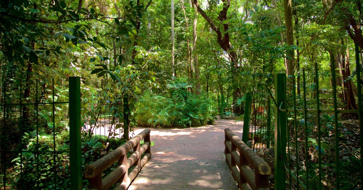 Faustino Miranda Botanical Garden