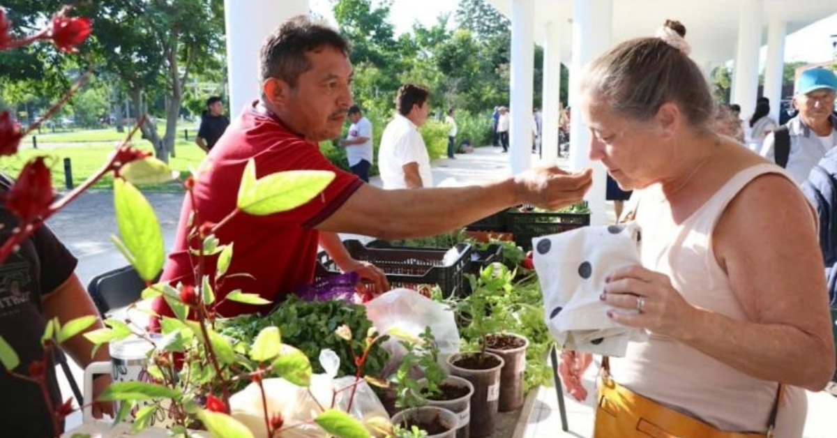 Renacer del Campo market returns to Mérida’s La Plancha