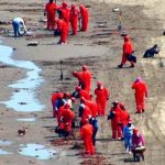 Gulf spill shifts to cleanup as source stays unknown