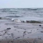 Hydrocarbon slick hits four Veracruz beaches as probe starts