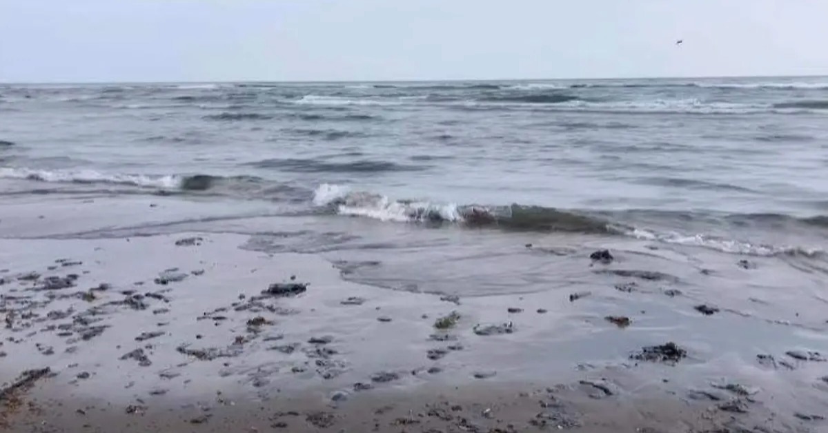 Hydrocarbon slick hits four Veracruz beaches as probe starts
