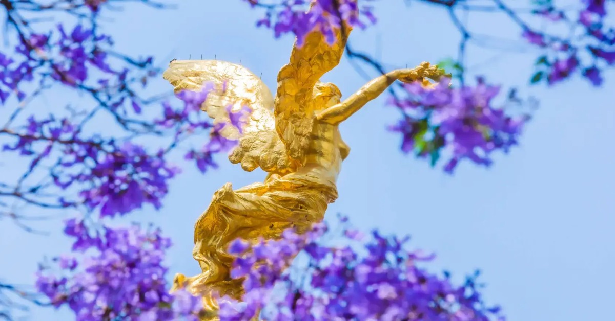 Mexico City wins bid to host 2028 World Urban Forum