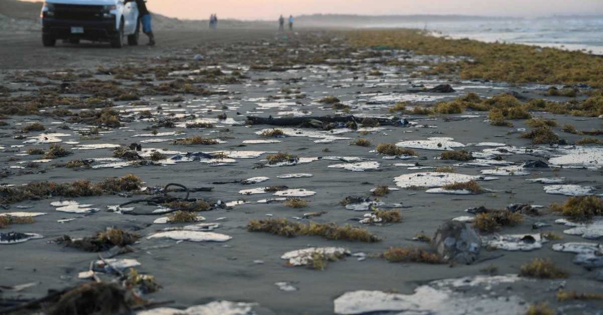 Mexico Morning Briefing What's Driving March 6 News