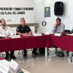 Playa del Carmen moves early on fire season