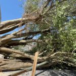 Playa del Carmen probes collapse of downtown alamo