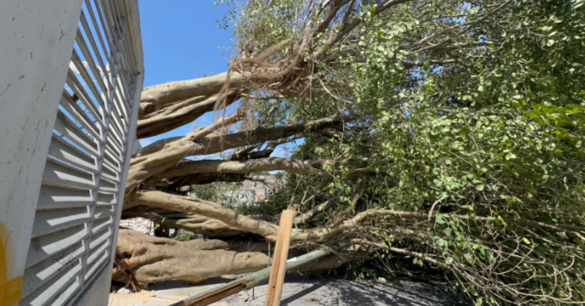 Playa del Carmen probes collapse of downtown alamo