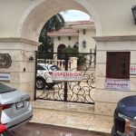 Playa del Carmen venue closed over turtle concerns