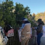 Profepa halts six Cabo Pulmo projects over permits