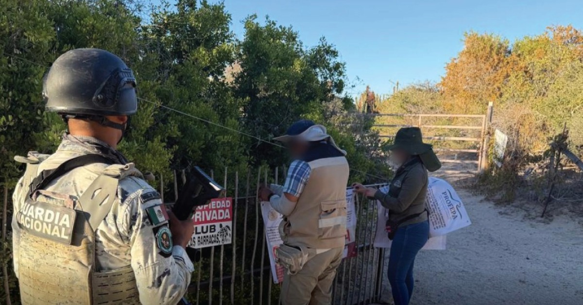 Profepa halts six Cabo Pulmo projects over permits